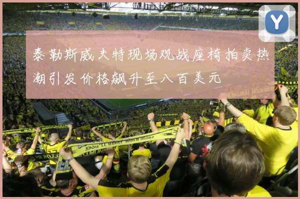泰勒斯威夫特现场观战座椅拍卖热潮引发价格飙升至八百美元